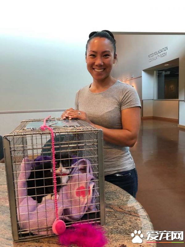 猫咪耳朵尾巴被割掉 在志工帮助下找到超适合的猫奴