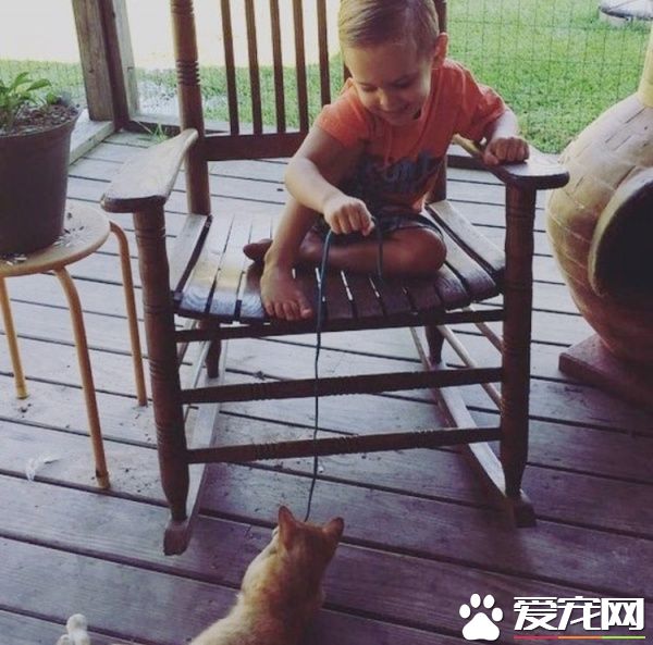 超可爱喵星人 为自己挑了四岁小男孩当猫奴收编
