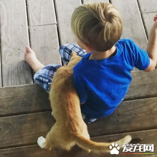 超可爱喵星人 为自己挑了四岁小男孩当猫奴收编