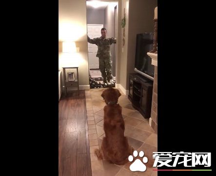 狗狗以为又玩无聊游戏了 竟然出现意外的惊喜