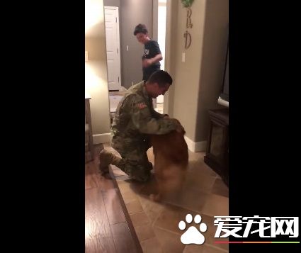 狗狗以为又玩无聊游戏了 竟然出现意外的惊喜