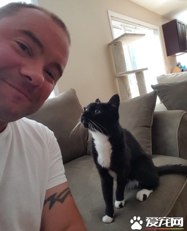 18岁猫奶奶被家人弃养 在收容所幸遇真命猫奴