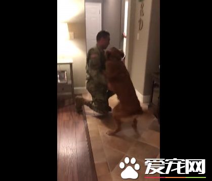 狗狗以为又玩无聊游戏了 竟然出现意外的惊喜