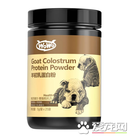 新买的狗狗免疫力低下易生病是什么原因？WOWO羊初乳蛋白粉为你解析