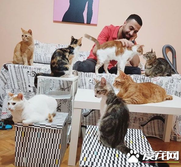 全盲猫咪听见琴音超喜欢 爱猫钢琴家又多位忠实听众