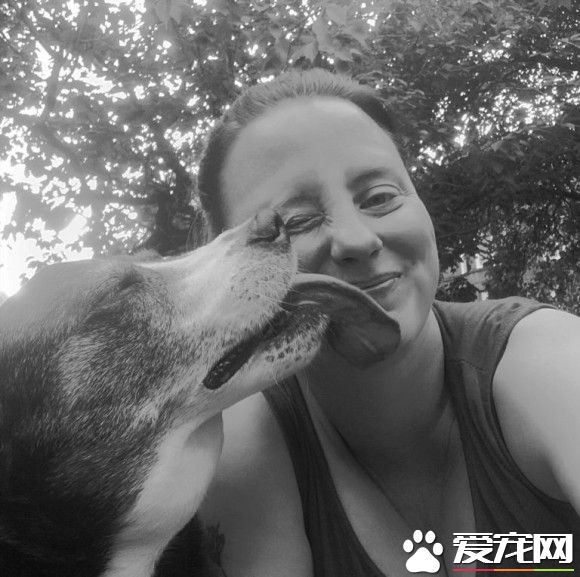 珍惜与狗狗的每一刻 洛基主人用这种方式告诉大家