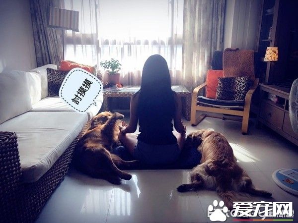 贴心阿金是马麻的小棉袄 每天早上起来帮忙拆发圈