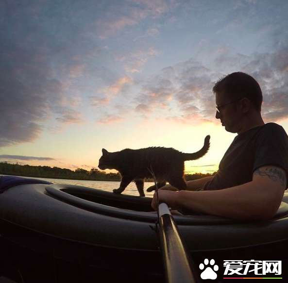 超另类湖边猫咪 爱和主人一同游湖超級愜意！