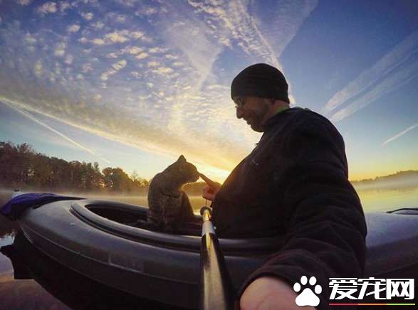 超另类湖边猫咪 爱和主人一同游湖超級愜意！
