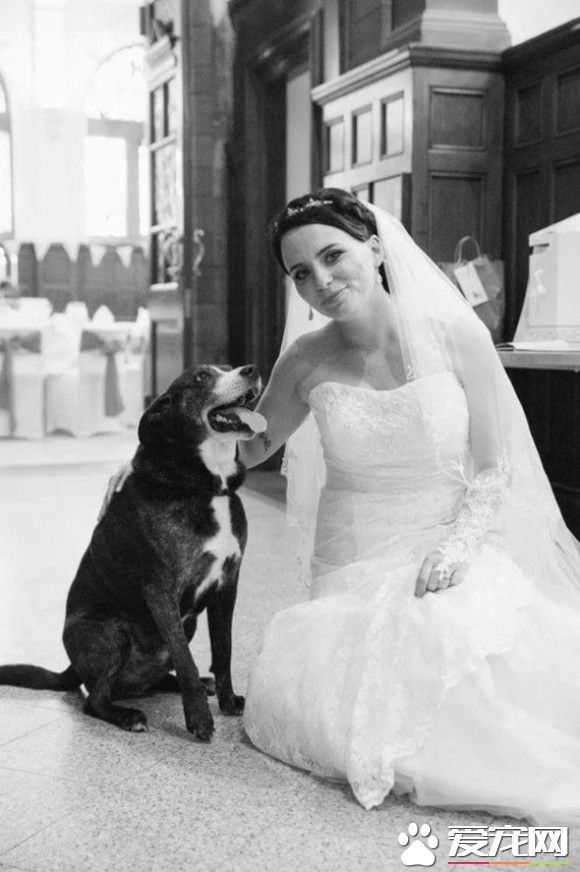 珍惜与狗狗的每一刻 洛基主人用这种方式告诉大家