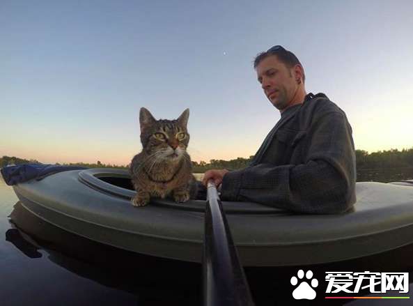 超另类湖边猫咪 爱和主人一同游湖超級愜意！