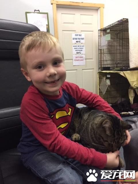 男孩大火中和爱猫失散 向圣诞爷爷许愿要牵引绳