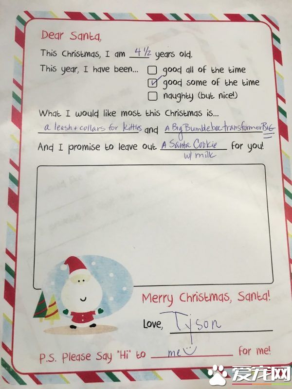 男孩大火中和爱猫失散 向圣诞爷爷许愿要牵引绳