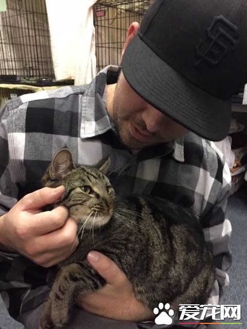 男孩大火中和爱猫失散 向圣诞爷爷许愿要牵引绳