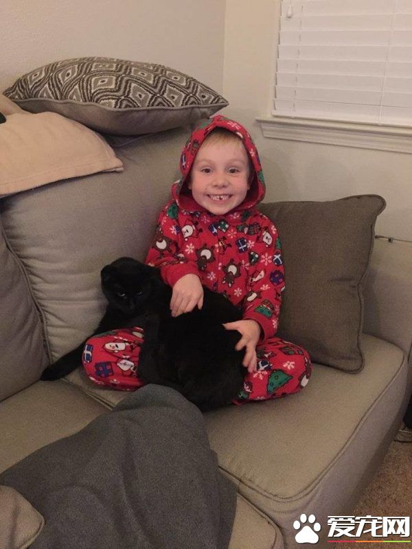 男孩大火中和爱猫失散 向圣诞爷爷许愿要牵引绳