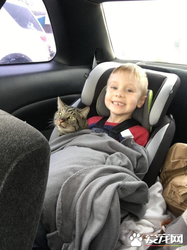 男孩大火中和爱猫失散 向圣诞爷爷许愿要牵引绳