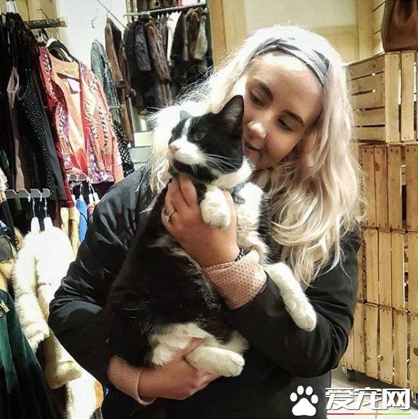 冰岛人气店猫遭陌生男子绑架 引发全国人民的愤慨