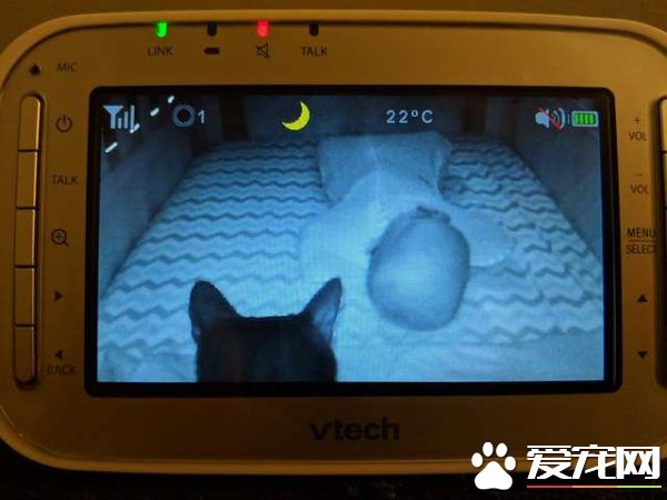 监视器里拍到史上最萌画面 黑猫时刻陪伴妹妹