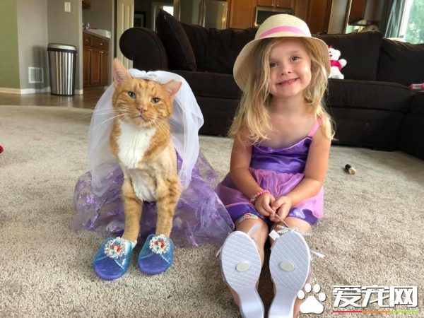 女孩最后一次唱歌给猫哥哥 感人画面惹哭众多网友