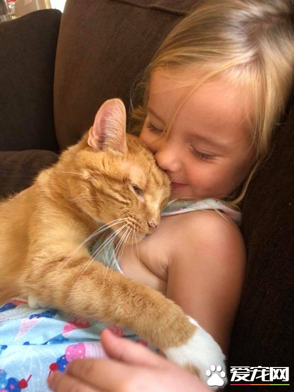 女孩最后一次唱歌给猫哥哥 感人画面惹哭众多网友