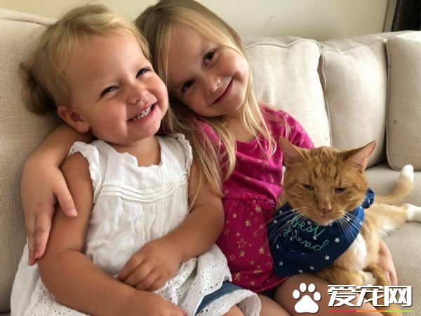 女孩最后一次唱歌给猫哥哥 感人画面惹哭众多网友