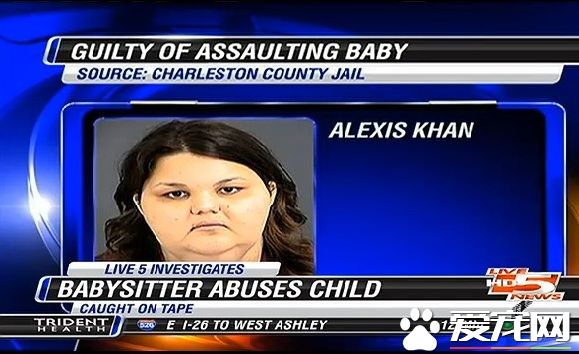 美国发生一件保姆虐童案 忠犬狂吠揭发恶行