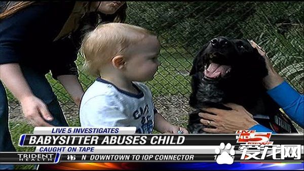 美国发生一件保姆虐童案 忠犬狂吠揭发恶行