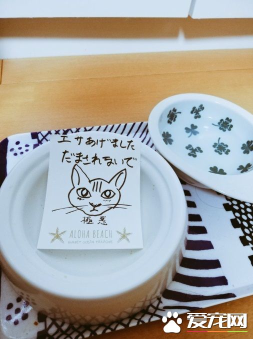 喵星人装可怜骗饭被爸爸识破 留下纸条不要被骗