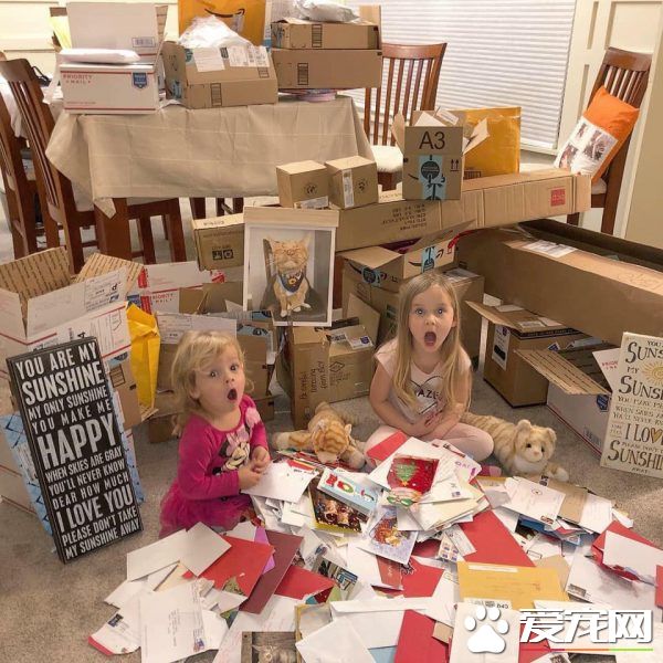 女孩最后一次唱歌给猫哥哥 感人画面惹哭众多网友