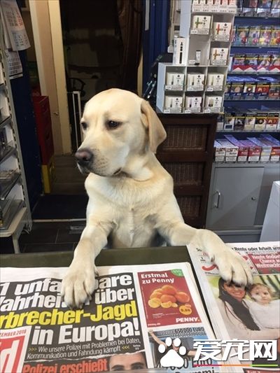 超商领货遇拉拉店员 爱答不理的态度超超萌