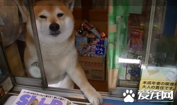 超商领货遇拉拉店员 爱答不理的态度超超萌