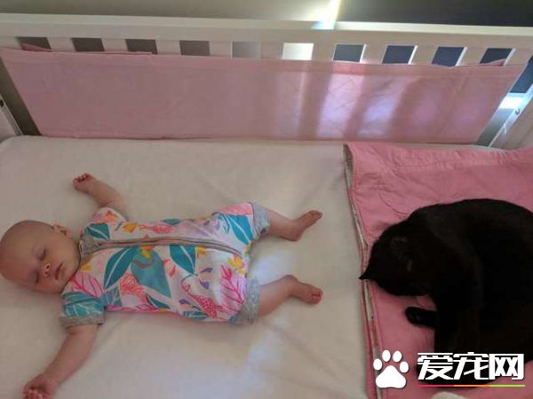 监视器里拍到史上最萌画面 黑猫时刻陪伴妹妹