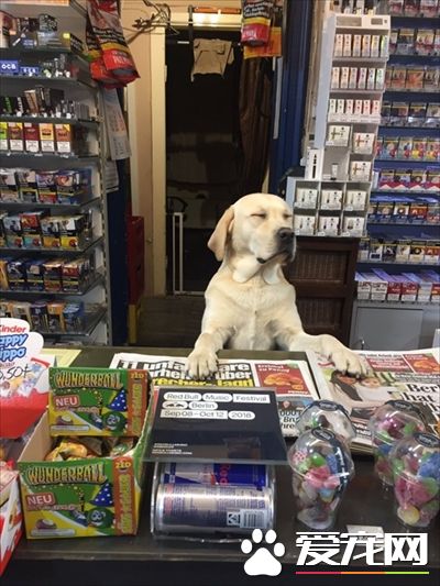 超商领货遇拉拉店员 爱答不理的态度超超萌