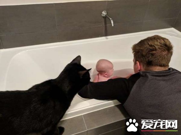 监视器里拍到史上最萌画面 黑猫时刻陪伴妹妹