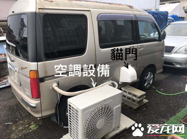 简直是六星级的猫旅店! 报废厢型车的大改造