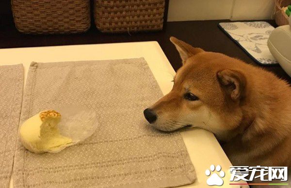 店长柴买鲁肉饭 不用考察人家开会啦!