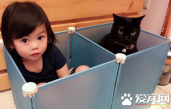 黑喵哥哥带坏人类妹妹 不爽表情简直一模一样