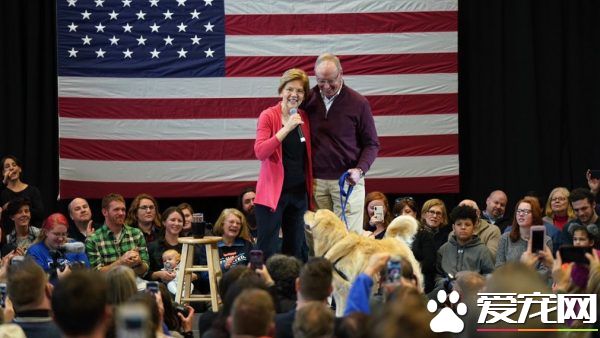 伊丽莎白参选美国总统大选 爱犬成最佳助选员!