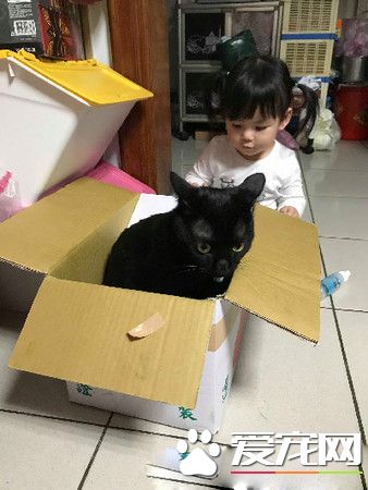 黑喵哥哥带坏人类妹妹 不爽表情简直一模一样