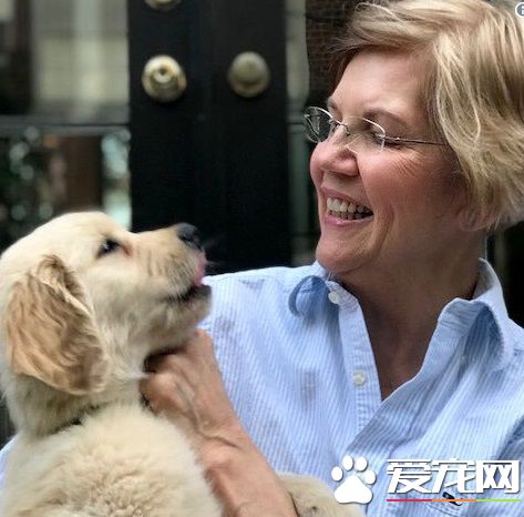 伊丽莎白参选美国总统大选 爱犬成最佳助选员!