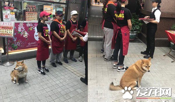 店长柴买鲁肉饭 不用考察人家开会啦!