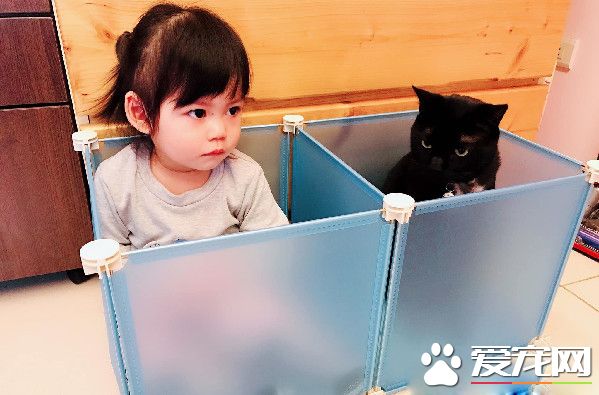 黑喵哥哥带坏人类妹妹 不爽表情简直一模一样