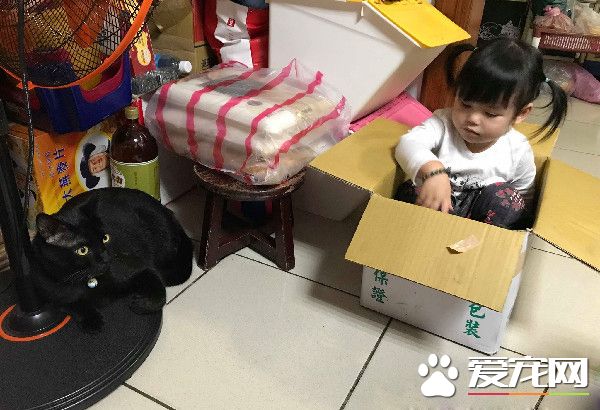 黑喵哥哥带坏人类妹妹 不爽表情简直一模一样