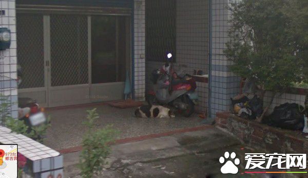 时间与回忆都静止了 谷歌地图带你回忆过去