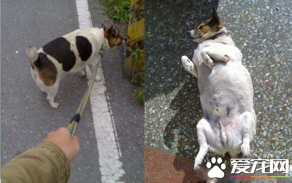 时间与回忆都静止了 谷歌地图带你回忆过去