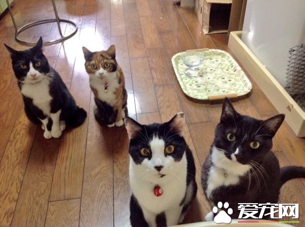 贪吃哥哥被弟弟暴打 超冲击性的画面被拍下