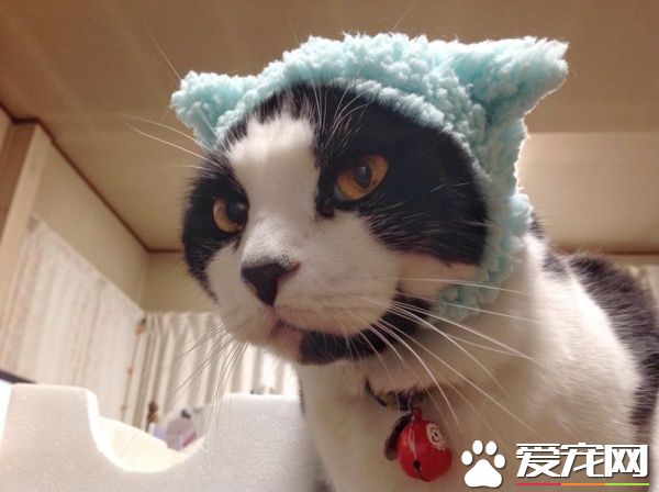 贪吃哥哥被弟弟暴打 超冲击性的画面被拍下