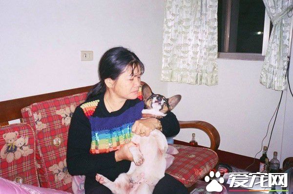 时间与回忆都静止了 谷歌地图带你回忆过去