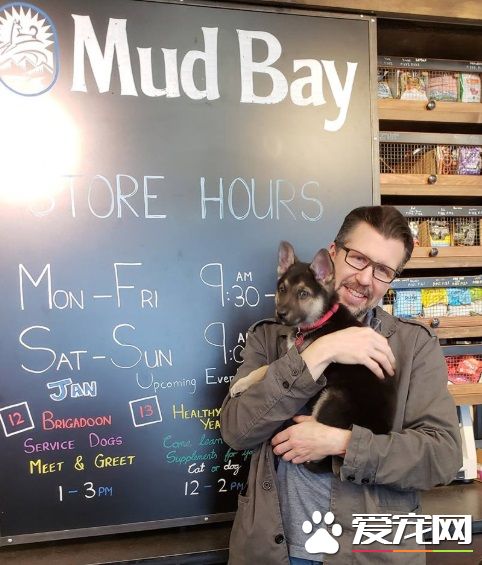 心脏病狗狗生命剩几个月 中途妈妈带它享受狗生