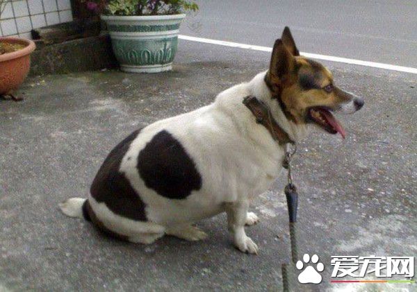 时间与回忆都静止了 谷歌地图带你回忆过去